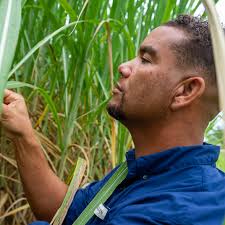 Deadline nears for USDA discrimination compensation: what to know