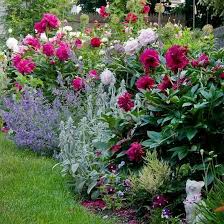 Cottage Style Landscape Design Peonies Garden Flower Garden Design Plants
