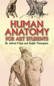 Fibrous, elastic intervertebral discs are located between adjacent vertebrae (except for the joint between the first and second cervical vertebrae). Human Anatomy For Art Students Download Link