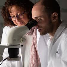 Review of the impacts of EMBL experimental services