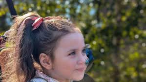 Fundraiser by Aalayah Stewart : Aalayahs final journey