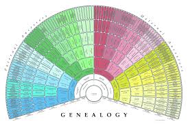 my geneology chart from fan charts love me some heritage