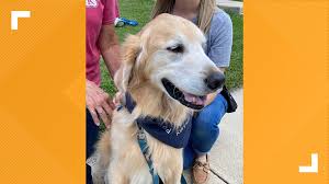 Check spelling or type a new query. Tiffin Schools Raising Money For Therapy Dog Wtol Com