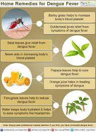 Pin On Good Food Ways to prevent dengue fever.