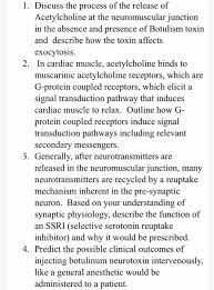 Spider venom on the release of acetylcholine and norepinephrine from mouse cerebral cortex slices. Solved 1 Discuss The Process Of The Release Of Acetylcho Chegg Com