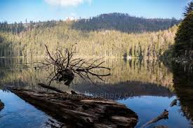 Černé jezero (meaning black lake) in the bohemian forest is the largest and deepest natural lake in the czech republic.4. Certovo Jezero