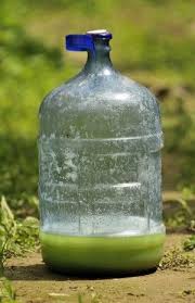 Fungicide For Plants How To Make Your Own Fungicide Fungicide Garden Pest Control Garden Pests