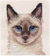 This pattern was designed to be stitched using 2 strands of dmc embroidery cotton the cheshire cat speaks the truth, we are truly and deeply mad here. Siamese Cat Kitten Full Counted Cross Stitch Kit Fido Studio Ebay Cat Cross Stitches Cross Stitch Cat Cross Stitch Pattern