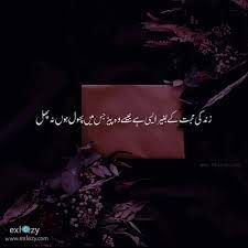 Inspirational quoets, deep urdu quotes, heart touching urdu quotes and much more, keep visiting and change you thoughts and standard of living Best Quotes About Life In Urdu English