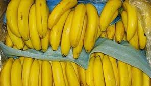 Senarai simbol & petunjuk peta lakar. 20 Macam Macam Pisang Lengkap Dengan Gambarnya