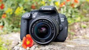 Best Beginner Dslr Cameras 2021 The 11 Finest Choices For New Photographers Canon Camera Models Beginner Dslr Camera Photography Gear Accessories