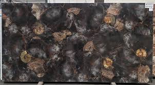 4107 hwy 68, golden valley, az 86413 Petrified Wood Slab With Ammonite Fossils Petrified Wood Slab Ammonite Fossil