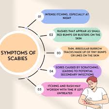 Image result for scabies symptoms