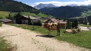 A remote area is a place that is distant from any people or activities or buildings. European Parliament Approved A New Resolution Addressed To The Specific Needs Of Rural Mountainous And Remote Areas Eusalp