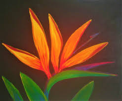 Acrylic Bird Of Paradise Flower Painting Bird Of Paradise At Midnight Beautiful Acrylic Painting Of A Bird Of Paradise On Canvas Flower Painting Painting Acrylic Painting