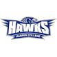Harper College Men's Basketball vs Black Hawk ... event in Palatine, IL