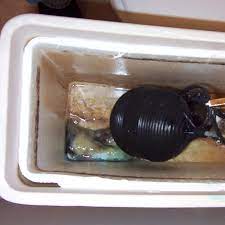 Iron bacteria deposits are particularly common in toilet tanks. Iron Water Water Filtration Products And Services Asheville Nc