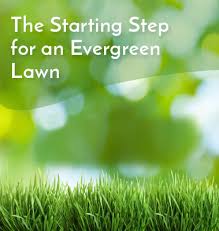Keep your mower blades sharp so they cut the grass cleanly instead of tearing, which stresses the grass out even more. 6 Magic Steps For A Speedy Dormant Grass Recovery