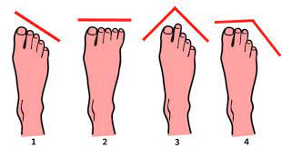 It was one of the original area codes created in 1947, at which time it served the entire state. Egyptian Toes Greek Toes Some Look Rather Strange To Me Beauvair