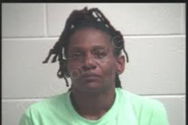 Lorelle Johnson — Henry County Jail Bookings