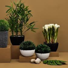 Fake garden flowers for sale. Buy Artificial Or Fake Plants Online For Your Home Lbb