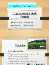 Makanan sunnah (madu sidr & saffron) Kepentingan Tanah Pamah