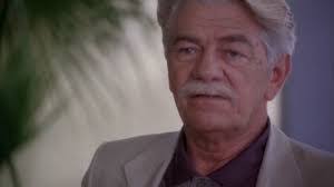 Danielle Comerford's Instagram, Twitter & Facebook