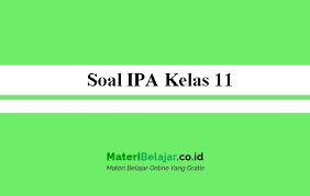 We did not find results for: Soal Ipa Kelas 11 Sma Ma Smk Semester 1 2 2021 Pg Essay