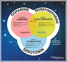 There are different types of adhd so it's important to keep that in mind when considering whether you or a loved one might have adhd. Pin On Adhd Symptoms Kids