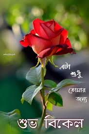 Pin By Blue King On শ ভব ক ল In 2020 Good Morning Wallpaper Flowers Plants