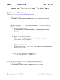 Before you begin write name, date, period in the upper right hand corner of your paper, and title in the top middle is genetics webquest. 03 Genome Chromosome And Dna Webquest Karyotype Chromosome