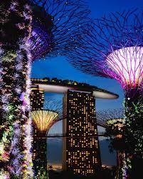 Gardens By The Bay Supertree Grove 01 Gardens By The Bay Singapore Garden Singapore
