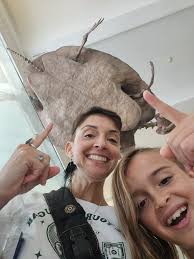 Surviving heat in New York City