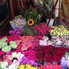 The Best Kinds Of Flowers Available In Dangwa And Description Types Of Flowers Flowers Plants
