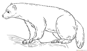 Use these images to quickly print coloring pages. How To Draw A Wolverine Step By Step Drawing Tutorials Wolverine Animal Animal Coloring Pages Animal Line Drawings