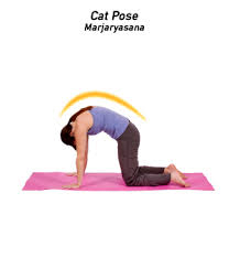 Campus Kids Nj Staff Resources