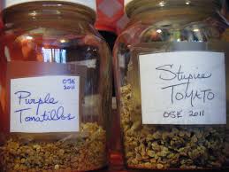 Soil seed bank, the natural storage of seeds in or on the soil of many ecosystems, which serves as a repository for subsequent generations of plants. Are Community Seed Banks Actually Illegal Why Are They Being Shut Down