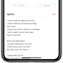 Image result for lycis