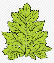 Maybe you would like to learn more about one of these? Jungle Leaves Clipart Leaf Clip Art Free Transparent Png Clipart Images Download