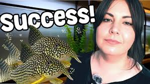 Ranking Corydoras From BEST To Worst!