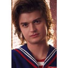 Steve Harrington X Oc Stories
