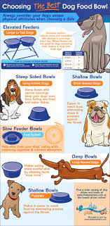 Tips To Choose The Right Dog Food Bowl For Your Dog Tipsographic Best Dog Food Dog Food Bowls The Perfect Dog