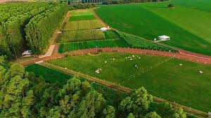 Iniciativas Syngenta contribuem para produção sustentável - Portal Mais Agro