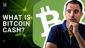 It because bitcoin cash following the bitcoin trend and i think it's not just for bitcoin cash only because the other coins is already follow too. What Is Bitcoin Cash Bch Youtube