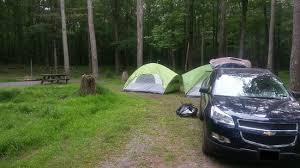Hickory run state park 2501 2699 route 534 white haven pa 18661. Our Campsite 368 With 370 To The Left Foto Van Hickory Run State Park White Haven Tripadvisor