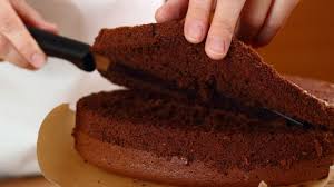 Il Pan Di Spagna Al Cacao E Una Ricetta Semplice Un Dolce Soffice E Delicato Da Mangiare Anche Farci Nel 2020 Pan Di Spagna Idee Alimentari Pan Di Spagna Al Cioccolato