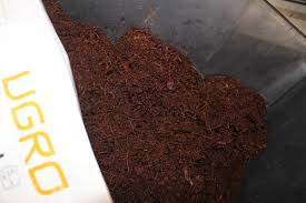 Put the block or loose coir in a large tub or bucket and cover with water. How To Grow Marihuana With Coco Coir Philosopher Seeds