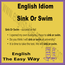 sink or swim english idioms english