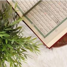 المصحف الكريم لا يتعدى 600 صفحه أو 604 صح إذا لم تصدق أنظر في المصحف بسرعه وأرجع هل رأيت كم من صفحة إذن طيب لنكمل الحديث المصحف 60 Event Event Ticket