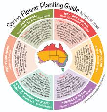 We did not find results for: Spring Flowers Planting Guide By Temperate Regional Zones About The Garden Magazine